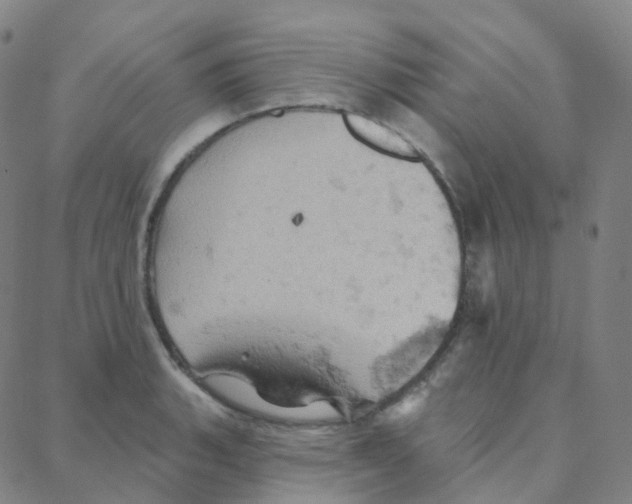 X0000088381135200706191301