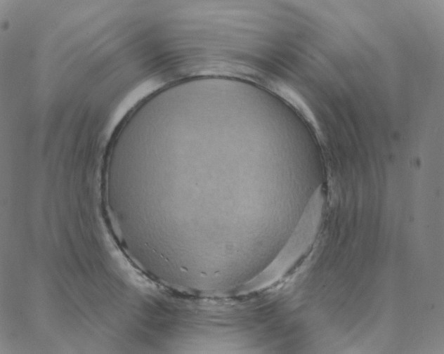 X0000088381138200706191301