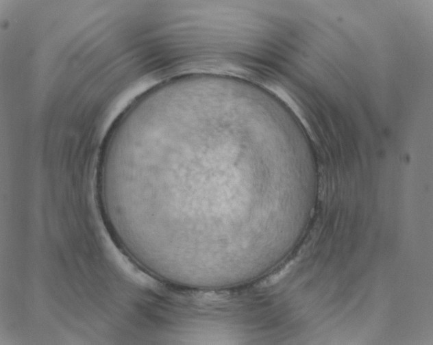 X0000088381139200706191301