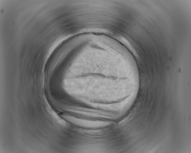 X0000088381140200706191301