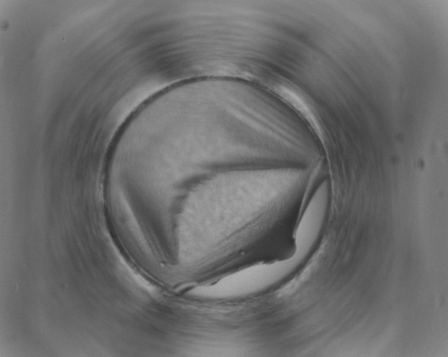 X0000088381141200706191301