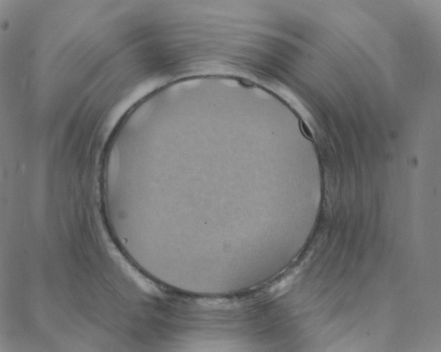 X0000088381142200706191301