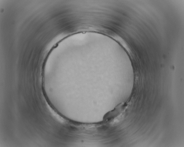 X0000088381143200706191301