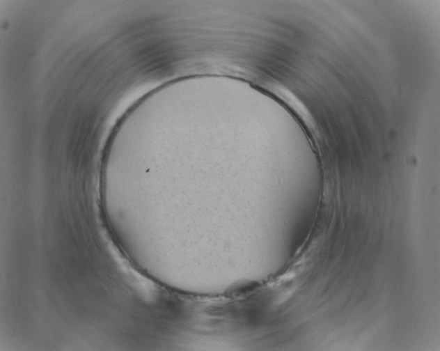 X0000088381144200706191301