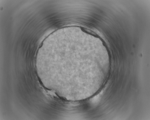 X0000088381145200706191301