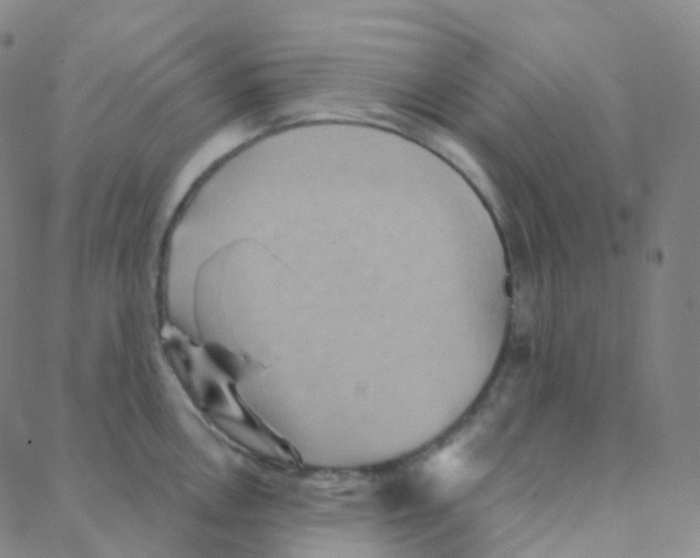 X0000088381146200706191301