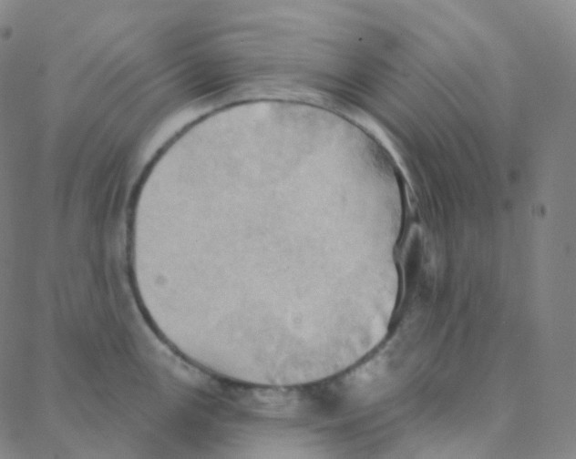 X0000088381147200706191301