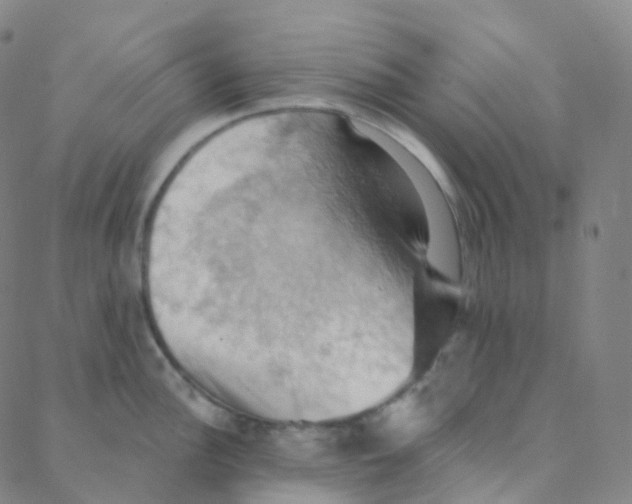 X0000088381148200706191301