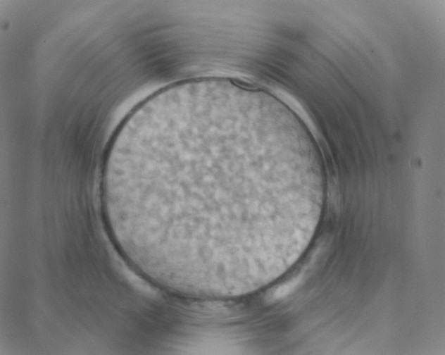 X0000088381149200706191301