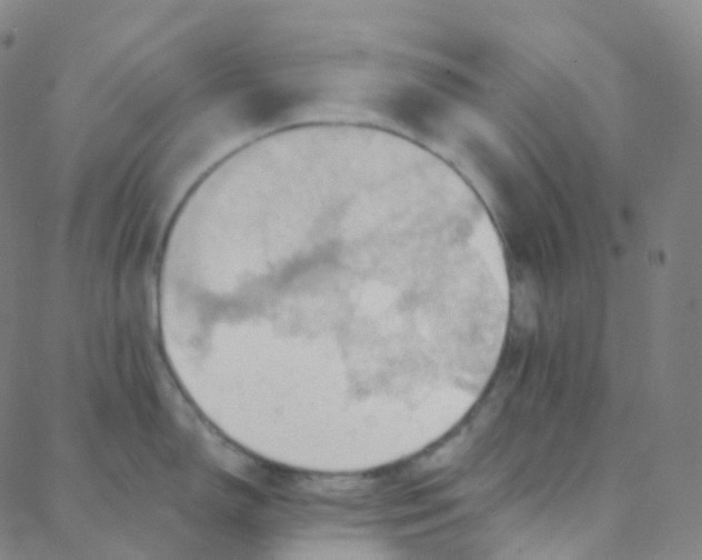 X0000088381150200706191301