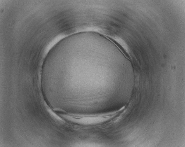 X0000088381151200706191301