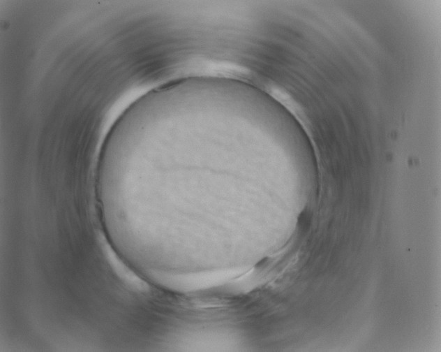 X0000088381152200706191301