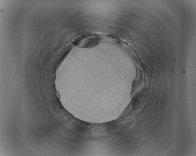 X0000088381153200706191301