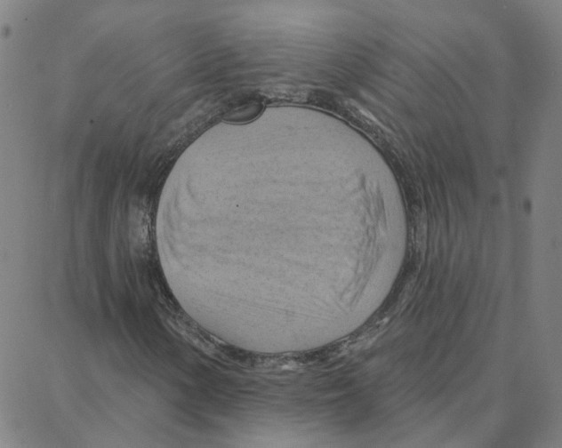 X0000088381154200706191301