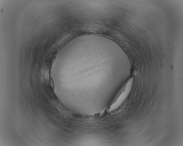 X0000088381155200706191301