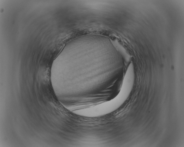 X0000088381156200706191301