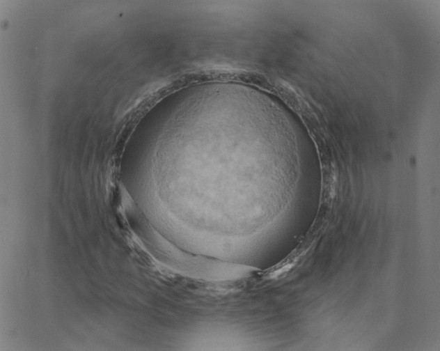 X0000088381157200706191301