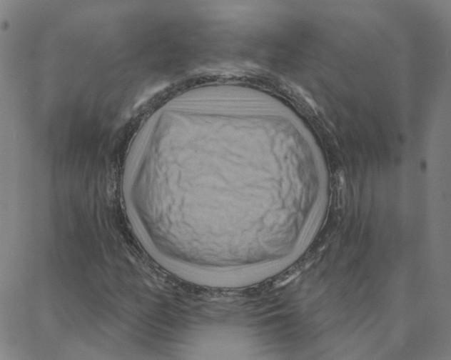 X0000088381158200706191301