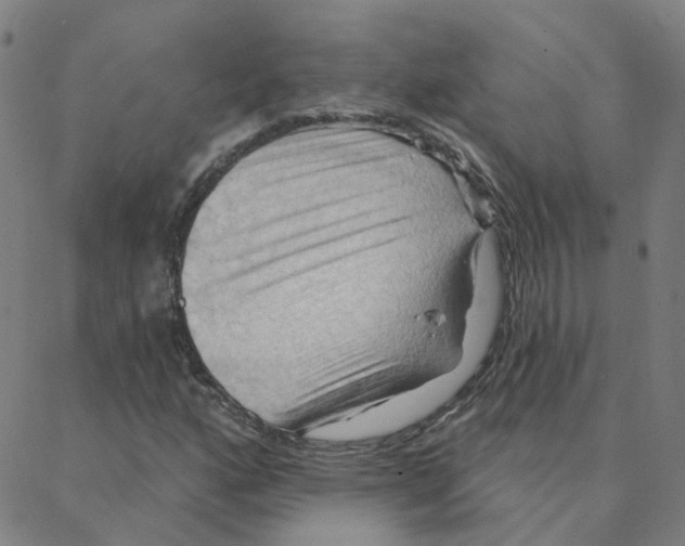 X0000088381160200706191301