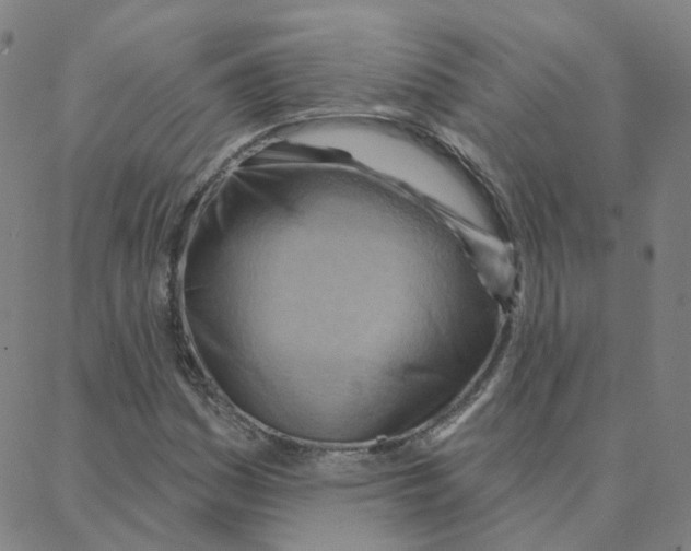 X0000088381161200706191301