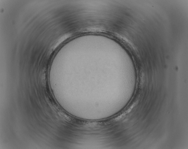 X0000088381162200706191301