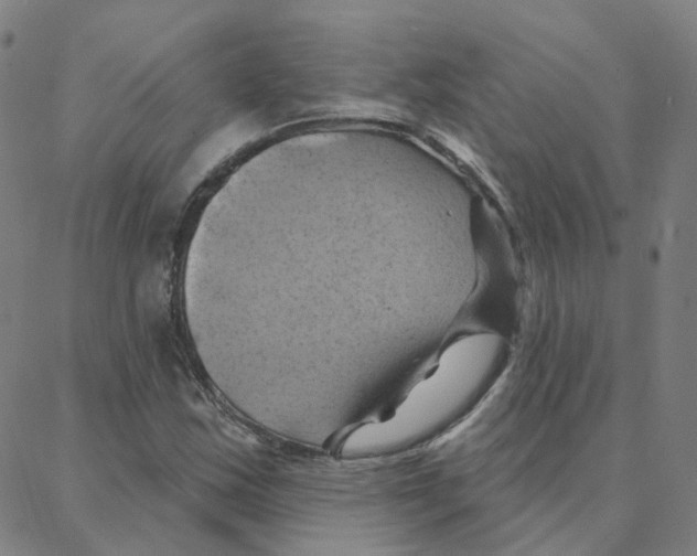 X0000088381163200706191301