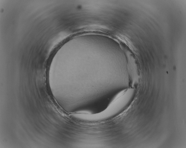 X0000088381164200706191301