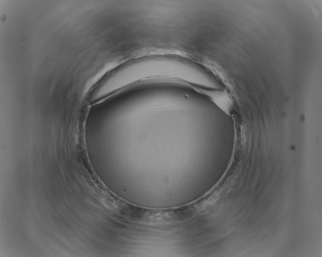 X0000088381165200706191301