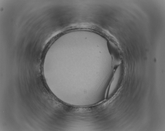 X0000088381166200706191301