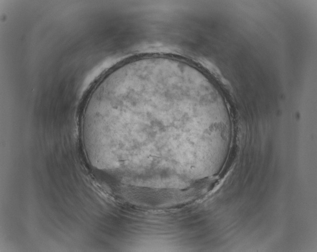 X0000088381167200706191300