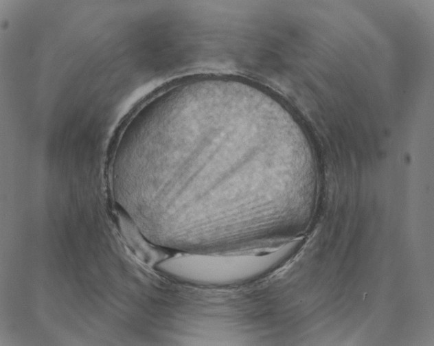 X0000088381168200706191300