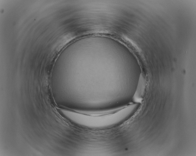 X0000088381169200706191300