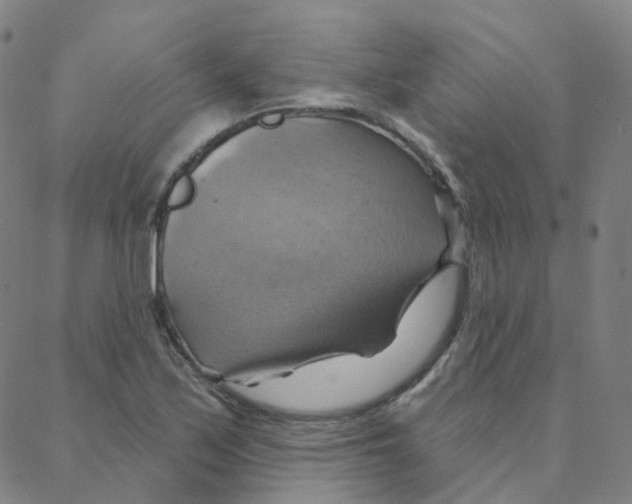 X0000088381171200706191300