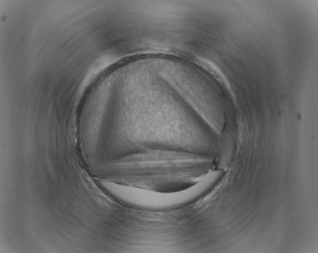 X0000088381172200706191300