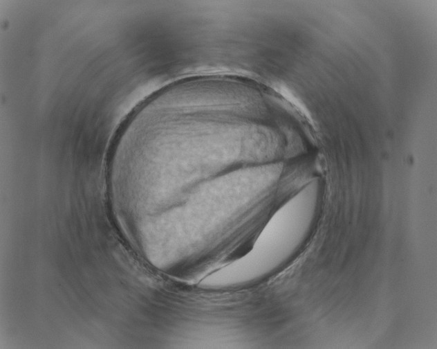 X0000088381173200706191300