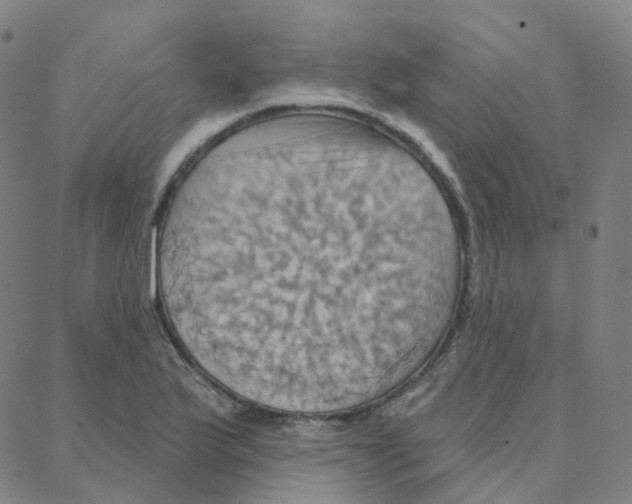 X0000088381175200706191300