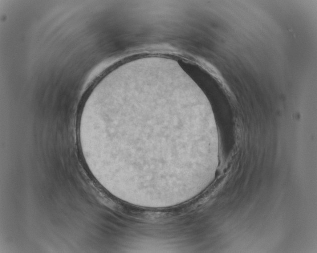 X0000088381176200706191300