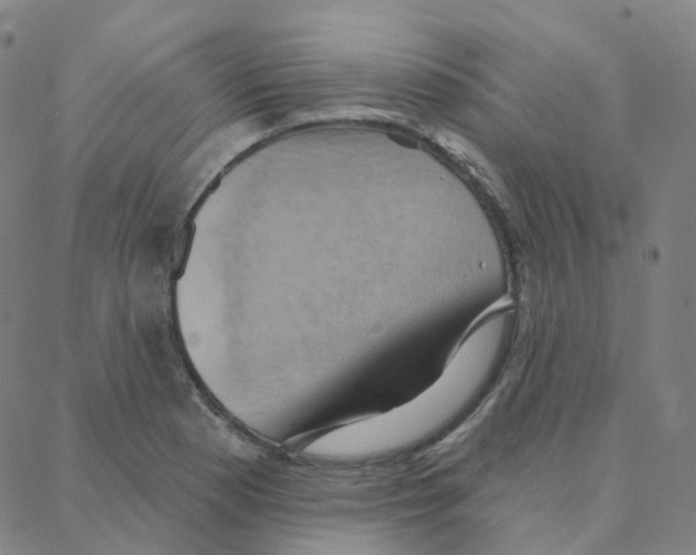 X0000088381177200706191300