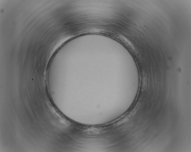 X0000088381178200706191300