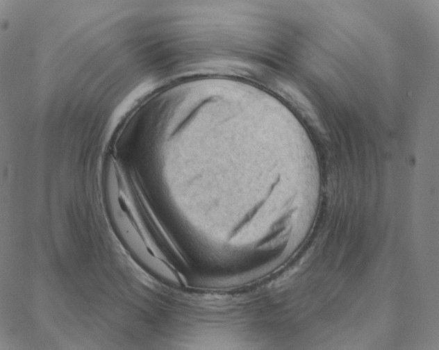 X0000088381180200706191300