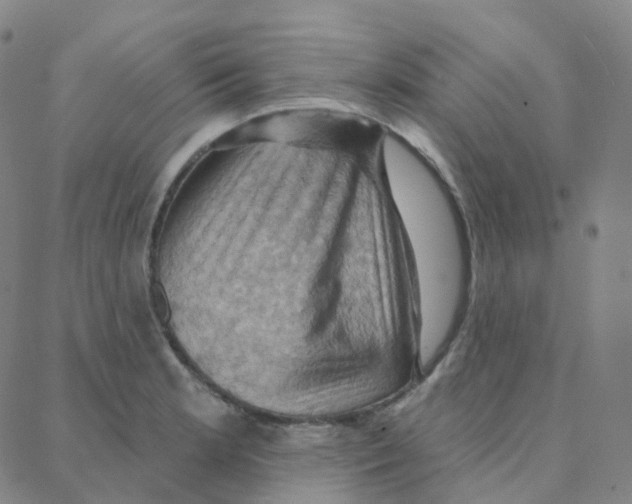 X0000088381181200706191300