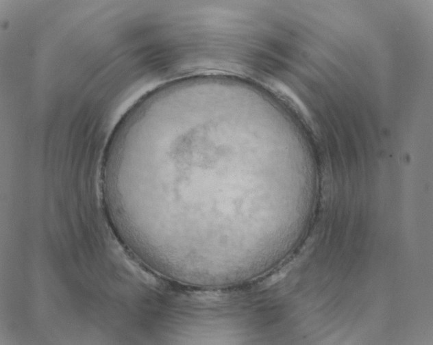 X0000088381182200706191300