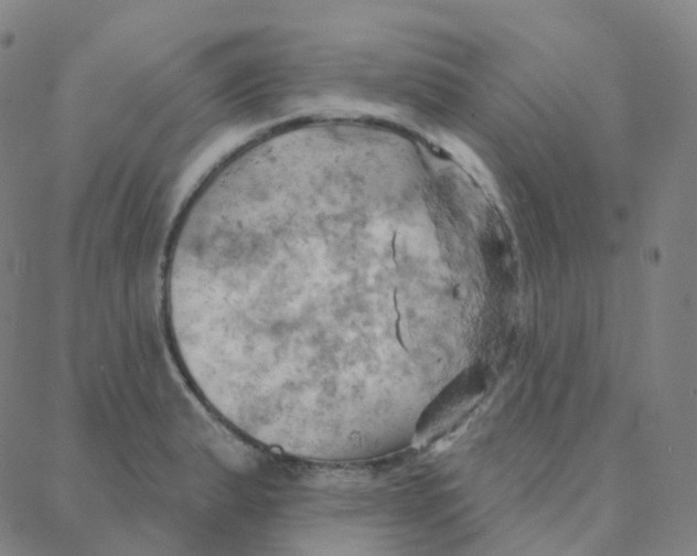 X0000088381183200706191300