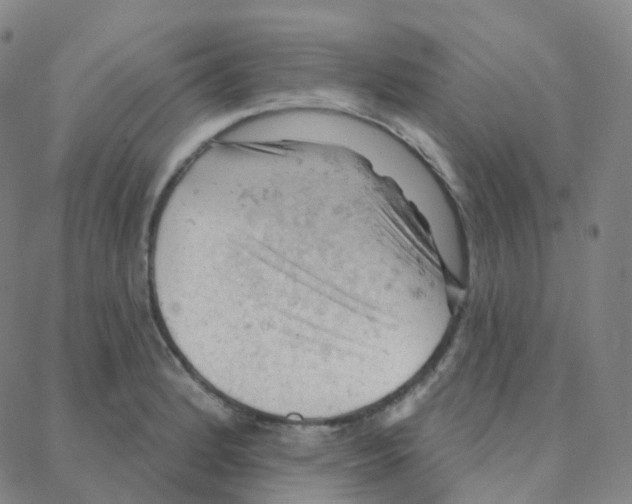 X0000088381184200706191300