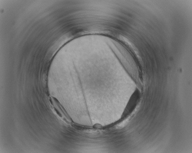 X0000088381185200706191300