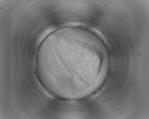 X0000088381186200706191300