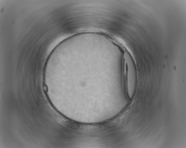 X0000088381187200706191300