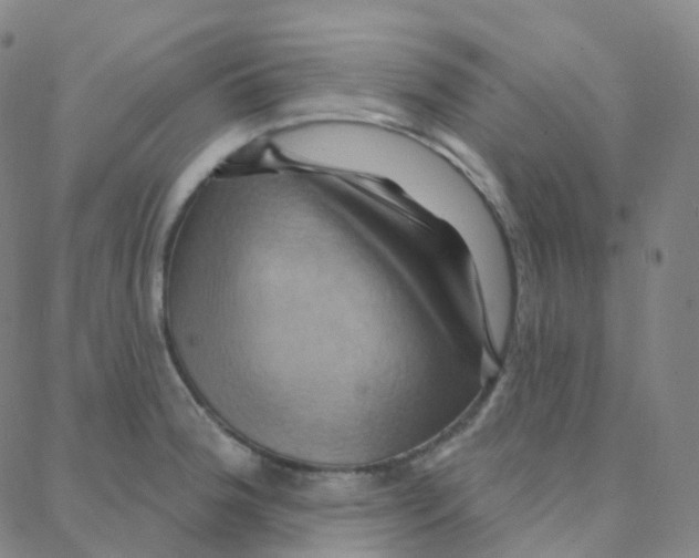 X0000088381188200706191300