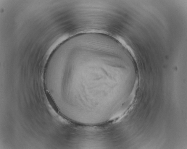 X0000088381189200706191300