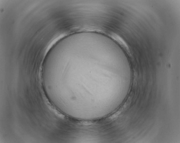 X0000088381190200706191300